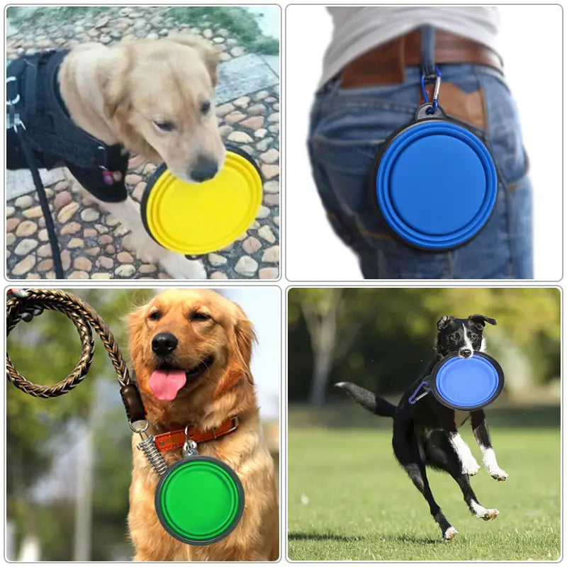 ⚡50% off ⚡Pet folding bowl