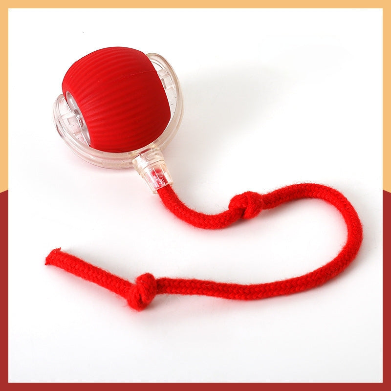 π±πΆ 2025 Interactive Pet Ball: 360Β° Auto-Roll, Fast-Moving β Super Fun!