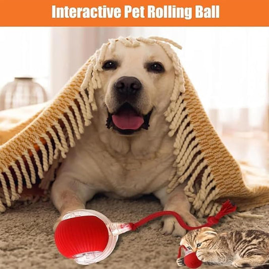 🐱🐶 2025 Interactive Pet Ball: 360° Auto-Roll, Fast-Moving – Super Fun!