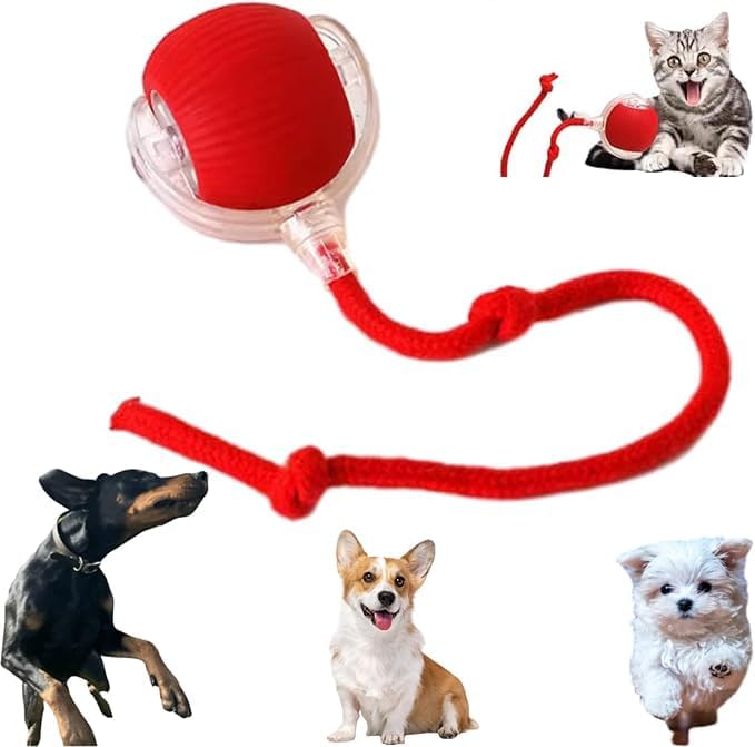 π±πΆ 2025 Interactive Pet Ball: 360Β° Auto-Roll, Fast-Moving β Super Fun!