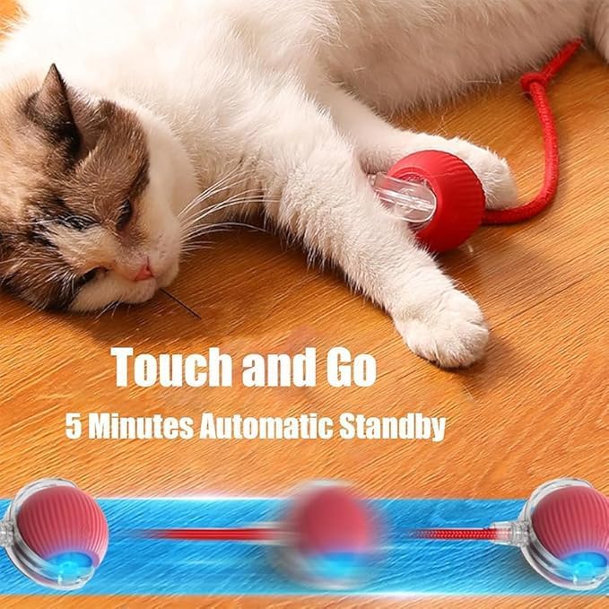 π±πΆ 2025 Interactive Pet Ball: 360Β° Auto-Roll, Fast-Moving β Super Fun!