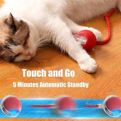 🐱🐶 2025 Interactive Pet Ball: 360° Auto-Roll, Fast-Moving – Super Fun!
