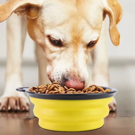 ⚡50% off ⚡Pet folding bowl